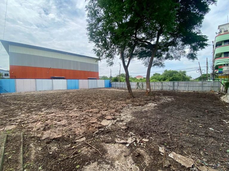 For Sale: Cheap Land in On Nut 66, Square Shaped Plot, Excellent Location Near Si Nakharin Intersection, On Nut, Yellow Line Skytrain - photo 6