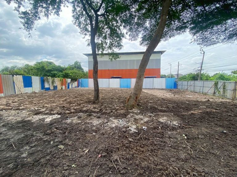 For Sale: Cheap Land in On Nut 66, Square Shaped Plot, Excellent Location Near Si Nakharin Intersection, On Nut, Yellow Line Skytrain - photo 5