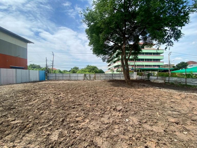 For Sale: Cheap Land in On Nut 66, Square Shaped Plot, Excellent Location Near Si Nakharin Intersection, On Nut, Yellow Line Skytrain - photo 8