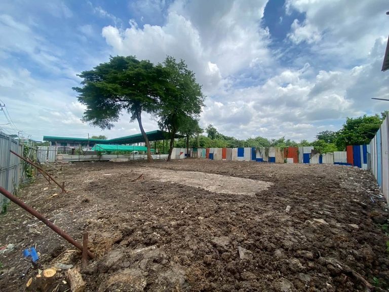 For Sale: Cheap Land in On Nut 66, Square Shaped Plot, Excellent Location Near Si Nakharin Intersection, On Nut, Yellow Line Skytrain - photo 7