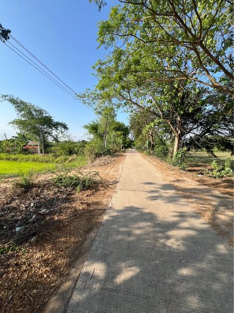 ขายที่ดินบ้านสวน ใกล้ตัวเมืองขอนแก่น บรรยากาศธรรมชาติ - 1
