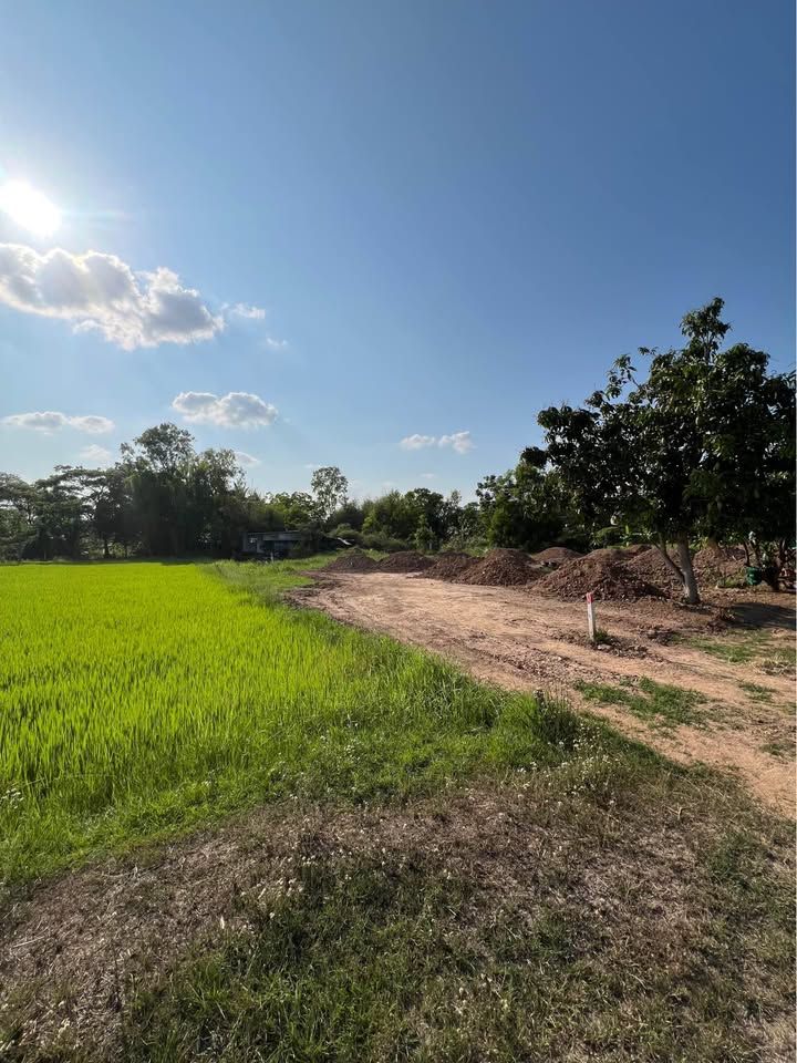 ขายที่ดินบ้านสวน ใกล้ตัวเมืองขอนแก่น บรรยากาศธรรมชาติ - รูปที่ 4