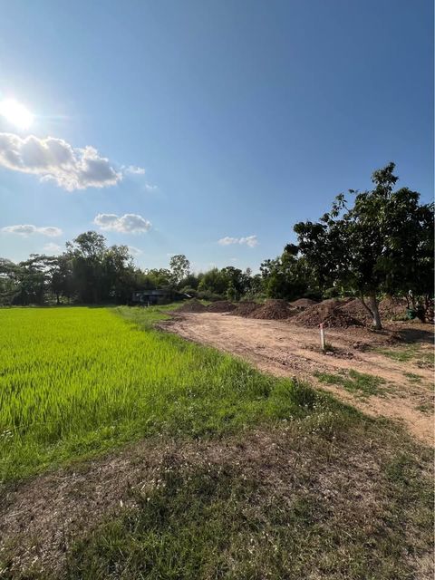 ขายที่ดินบ้านสวน ใกล้ตัวเมืองขอนแก่น บรรยากาศธรรมชาติ - 4