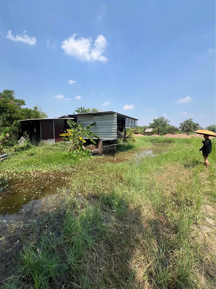 ขายที่ดินบ้านสวน ใกล้ตัวเมืองขอนแก่น บรรยากาศธรรมชาติ - รูปที่ 12