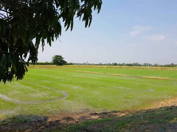 ที่ดินสวย สุพรรณบุรี หน้ากว้างติดถนนลาดยาง น้ำไฟสะดวก - รูปที่ 1