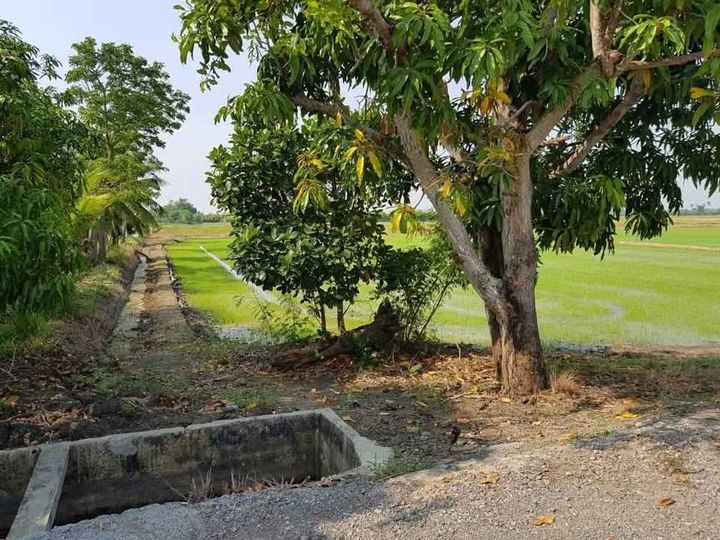 ที่ดินสวย สุพรรณบุรี หน้ากว้างติดถนนลาดยาง น้ำไฟสะดวก - รูปที่ 4