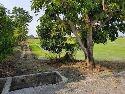 ที่ดินสวย สุพรรณบุรี หน้ากว้างติดถนนลาดยาง น้ำไฟสะดวก - 4