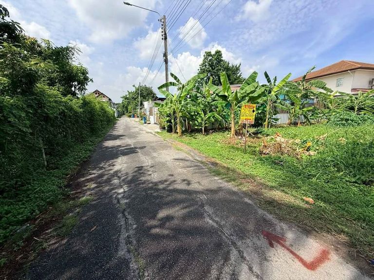 ขายที่ดินแปลงสวย ทรงสี่เหลี่ยมเป๊ะ ขนาด 50 ตร.ว. สุขาภิบาล 5 ซอย 64 (ซอยบุญรอด) - รูปที่ 3