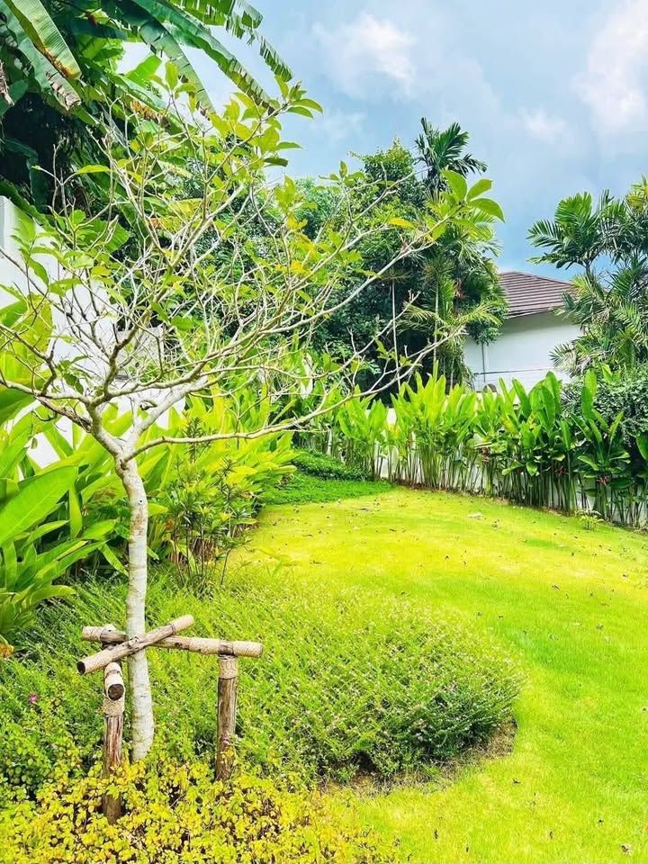 Loch Palm Villas Kathu – Luxury home in the heart of Kathu with a private swimming pool! - photo 22