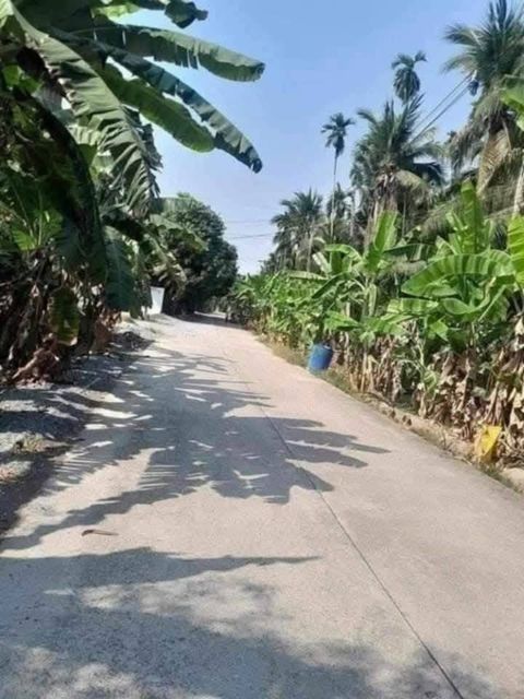 เจ้าของขายเอง ที่ดิน 2 ไร่ 46 ตร.ว   อ.สามพราน จ.นครปฐม - 1