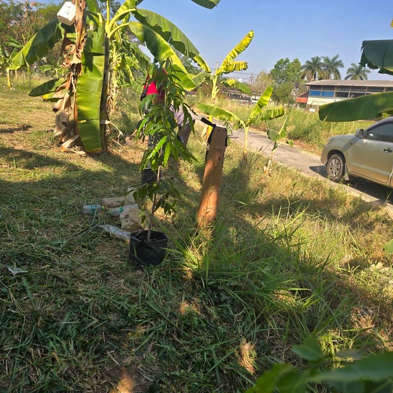 ที่ขอนแก่นติดถนนมิตรภาพ - รูปที่ 7