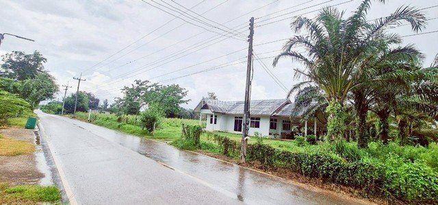 ที่ดิน 54 ไร่ 139 ตร.ว มีครบ! สวนยาง–สวนปาล์ม–บ้าน–น้ำใช้ตลอดปี จ.สระแก้ว - รูปที่ 4