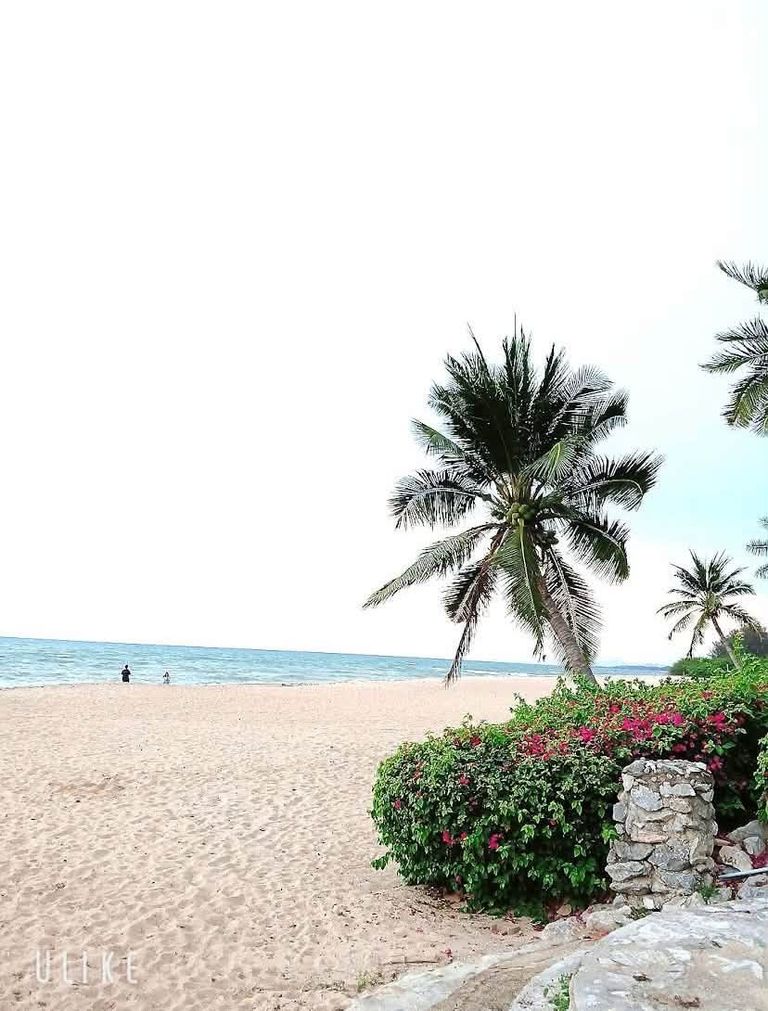 คอนโด (Condotel Cliff & Beach ) ชะอำ จ.เพชรบุรี ห้องชุด 2 ห้องนอน 2 ห้องน้ำ ที่เห็นวิวทะเลทุกห้อง - รูปที่ 13