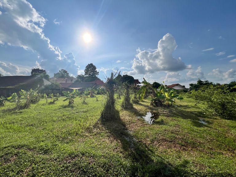 ขายที่ดินกลางเมืองอุบล-โฮมออฟฟิศและสวนกลางเมือง - รูปที่ 10