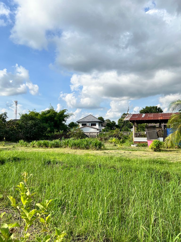 ขายที่ดินกลางเมืองอุบล-โฮมออฟฟิศและสวนกลางเมือง - รูปที่ 23