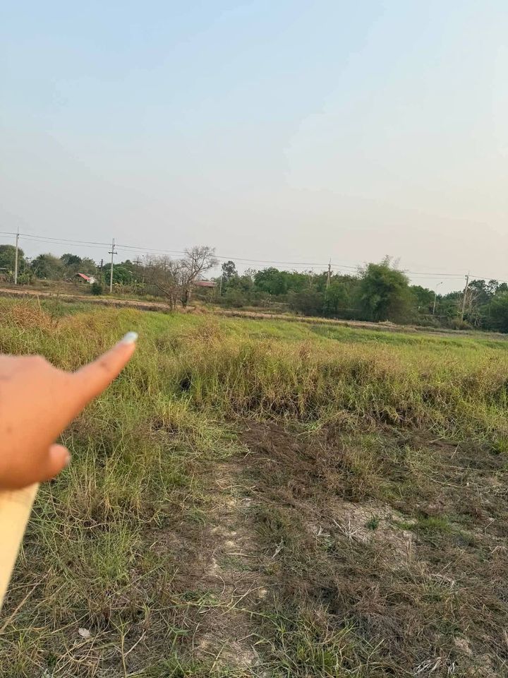 For sale: vacant land 3 rai 3 ngan 76 sqw at 59,000 baht per rai - photo 2