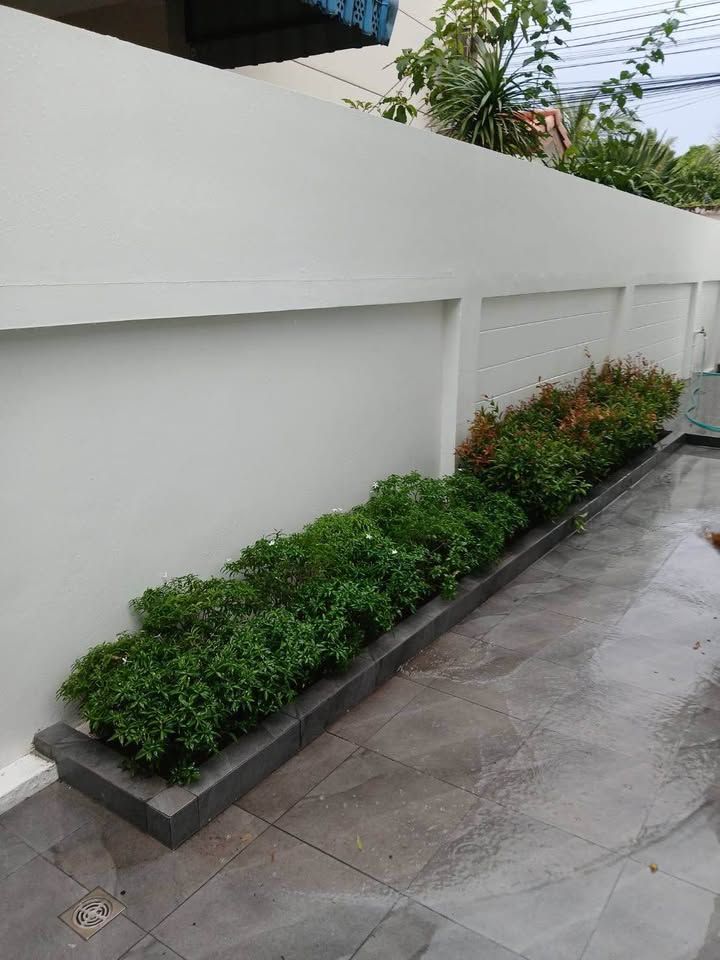 สิริวิลเลจ ป่าคลอก บ้านแฝด สไตล์บ้านเดี่ยว 2 ชั้น มีพื้นที่สีเขียวหน้าบ้านร่มรื่น - รูปที่ 8