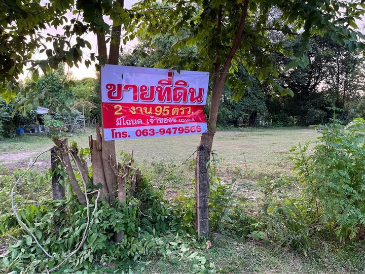 ขายที่ดินเปล่า เนื้อที่ 2 งาน 95 ตารางวา อยู่ในหมู่บ้านดอนม่วง ตำบลท่าค้อ อำเภอเมือง จังหวัดนครพนม - รูปที่ 2