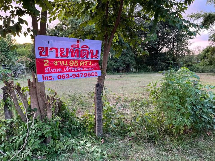 ขายที่ดินเปล่า เนื้อที่ 2 งาน 95 ตารางวา อยู่ในหมู่บ้านดอนม่วง ตำบลท่าค้อ อำเภอเมือง จังหวัดนครพนม - รูปที่ 7