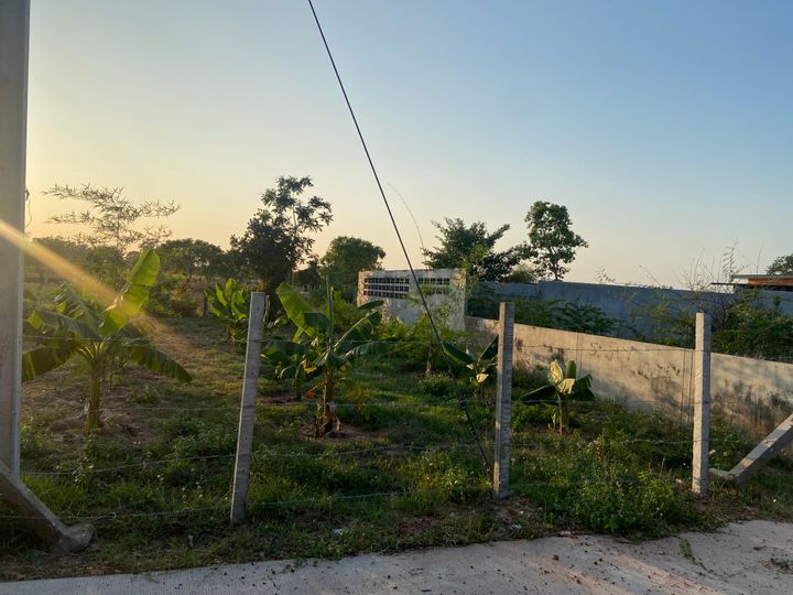 ที่ดินเปล่า 100 วา บ้านหนองม่วง มีถนนคอนกรีต น้ำ ไฟ เข้าถึงแล้ว สามารถสร้างหอพัก บ้านสวน ออกถนนวงแหวนรอบนอกได้สะดวก - รูปที่ 3