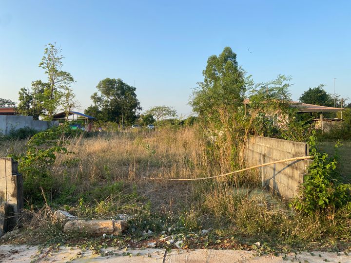 ที่ดินเปล่า 100 วา บ้านหนองม่วง มีถนนคอนกรีต น้ำ ไฟ เข้าถึงแล้ว สามารถสร้างหอพัก บ้านสวน ออกถนนวงแหวนรอบนอกได้สะดวก - รูปที่ 1