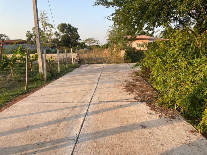 ที่ดินเปล่า 100 วา บ้านหนองม่วง มีถนนคอนกรีต น้ำ ไฟ เข้าถึงแล้ว สามารถสร้างหอพัก บ้านสวน ออกถนนวงแหวนรอบนอกได้สะดวก - รูปที่ 5