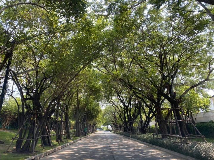 บ้านเดี่ยว 2 ชั้น หลังมุม โครงการคณาสิริ ชัยพฤกษ์-วงแหวน (Sansiri) - รูปที่ 12