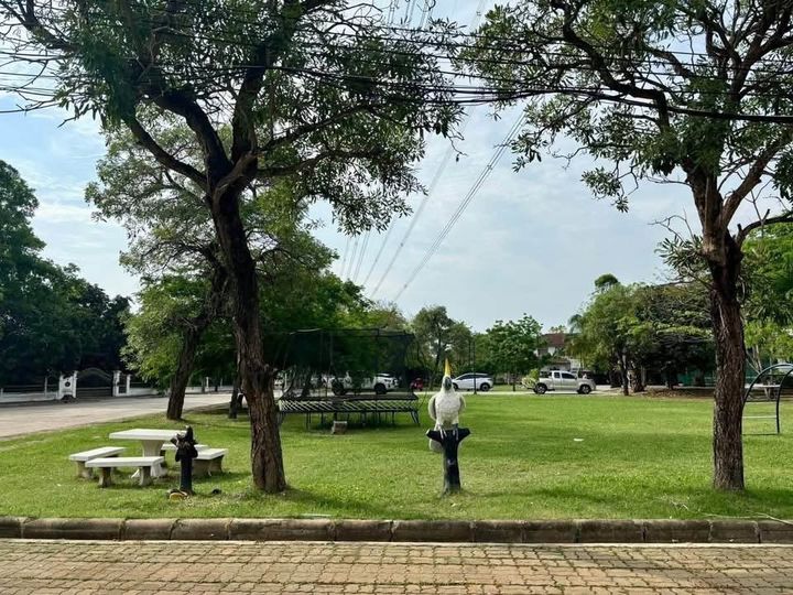 ขายที่ดิน ในหมู่บ้านชัยพฤกษ์ บางแวก - รูปที่ 2