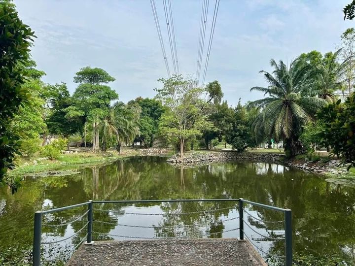 ขายที่ดิน ในหมู่บ้านชัยพฤกษ์ บางแวก - รูปที่ 4