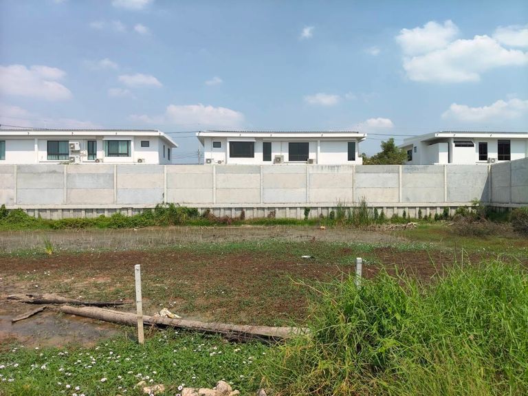 Land for Sale Near Ratchaphruek-Chaiphruek Road Next to Mantana Village Project Close to Robinson Lifestyle Ratchaphruek - photo 5