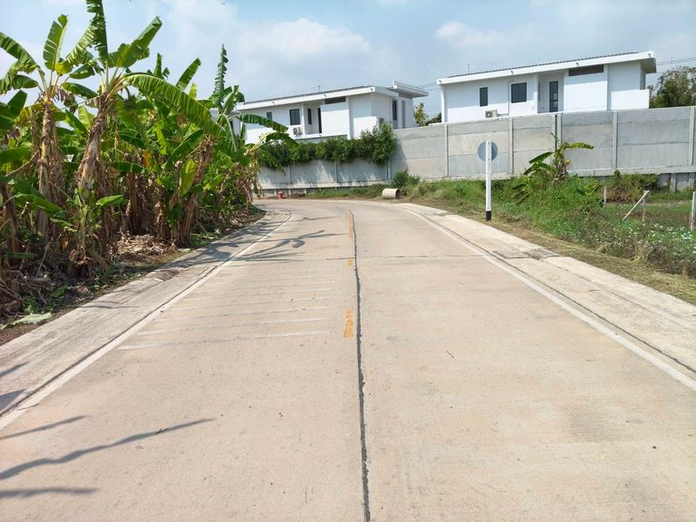 Land for Sale Near Ratchaphruek-Chaiphruek Road Next to Mantana Village Project Close to Robinson Lifestyle Ratchaphruek - photo 4