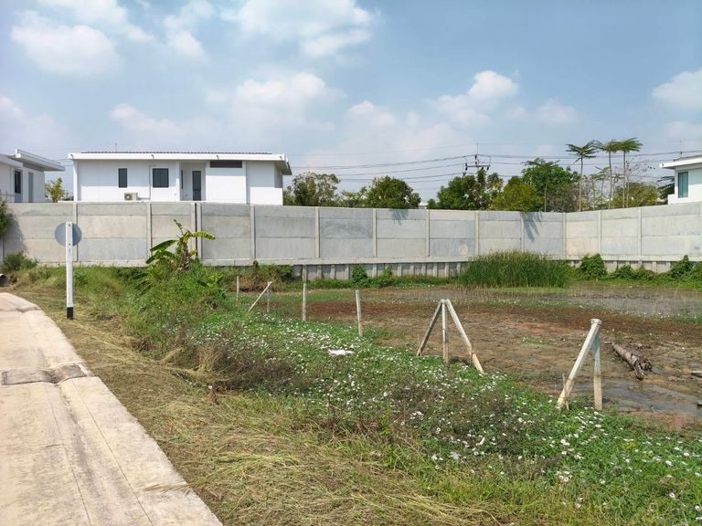 Land for Sale Near Ratchaphruek-Chaiphruek Road Next to Mantana Village Project Close to Robinson Lifestyle Ratchaphruek - photo 6