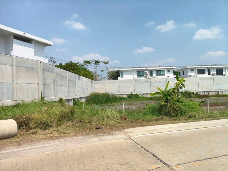 Land for Sale Near Ratchaphruek-Chaiphruek Road Next to Mantana Village Project Close to Robinson Lifestyle Ratchaphruek - photo 7