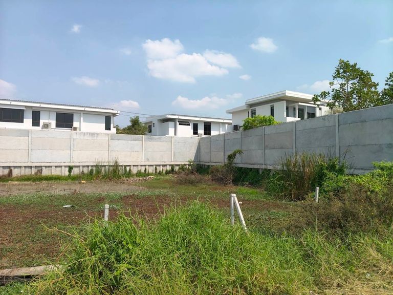 Land for Sale Near Ratchaphruek-Chaiphruek Road Next to Mantana Village Project Close to Robinson Lifestyle Ratchaphruek - photo 8