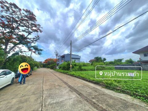 ขายที่ดินถมแล้ว เนื้อที่ 101 ตรว. บนถนนสาย 2 ซ. 11 เชฟสี่เหลี่ยมผืนผ้า เป็นที่ดินเปล่าในโครงการ ม.รวมเก้า - 1